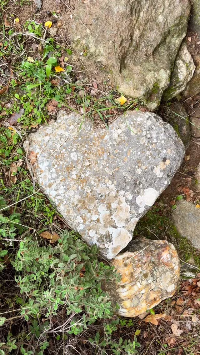 Friday Heartsday

May you and all beings 
Be well, happy and at peace

May you accept these hearts in nature
As token of love and hope

Look out for your heart too! 💙

#retreat #fridayheartsday #heartstones #heartsofinstagram #iousía