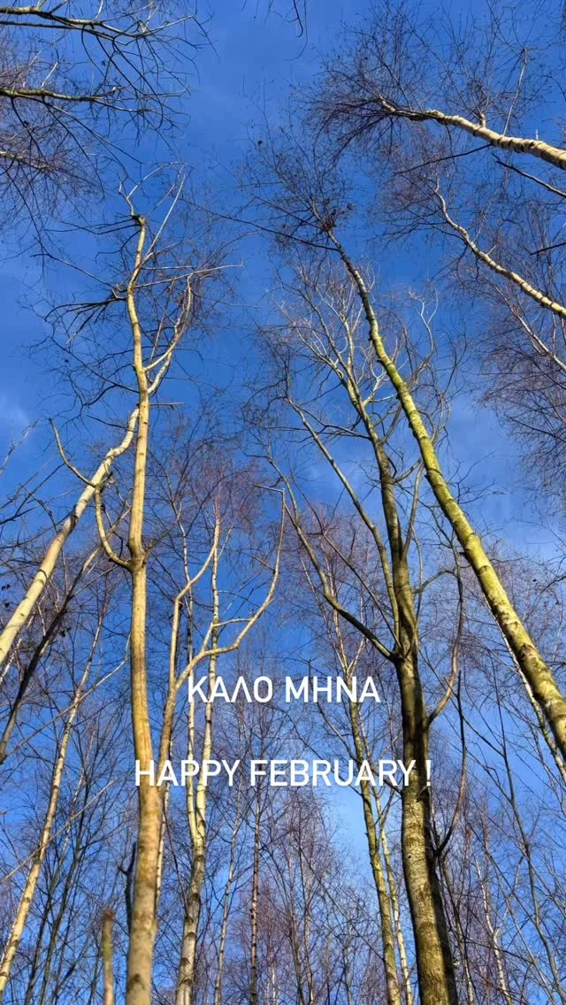 Καλό Μήνα 

Happy February !

Hoge bomen brengen veel rust😘

Tall trees bring much rest😘

#iousía #kalomina #mindfulness #retreats #gratitude🙏