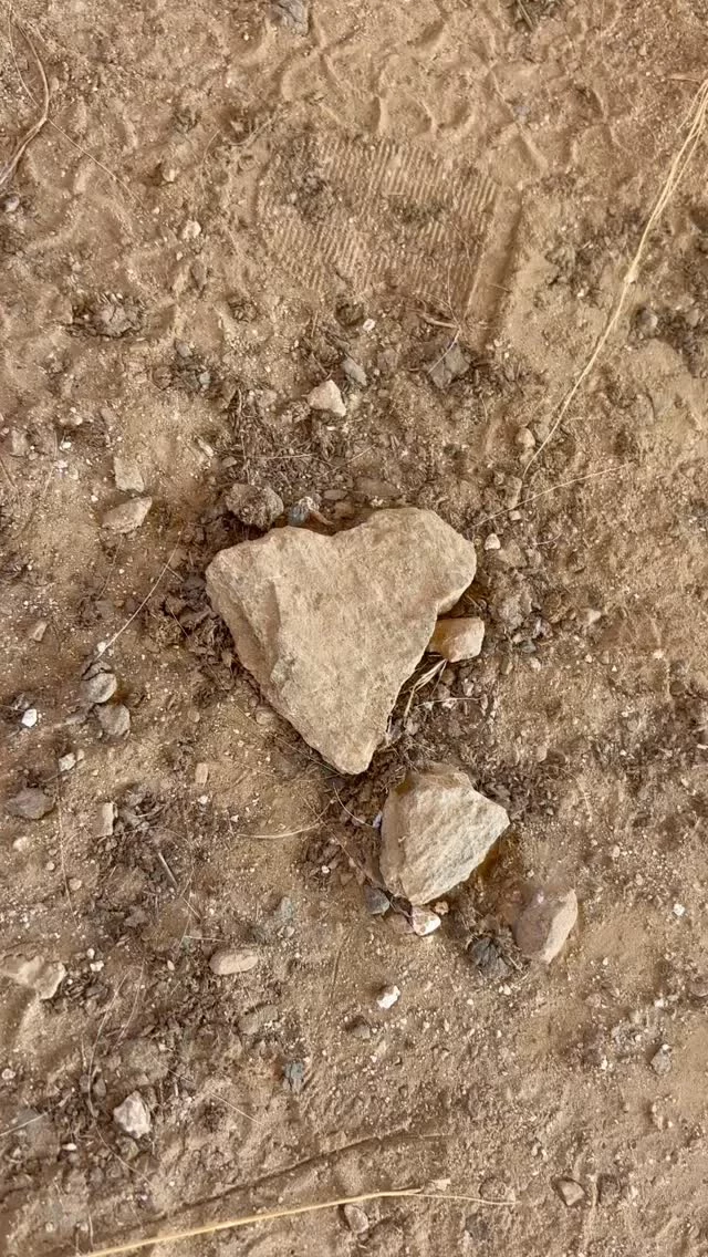 Friday Heartsday

To find a beautiful heart on the special spot where we had a magical eveningsession…

I’m so grateful!

Look out for your heart too! 💙

#iousía #heartstones #heartsonmypath #fridayheartsday #heartsofinstagram