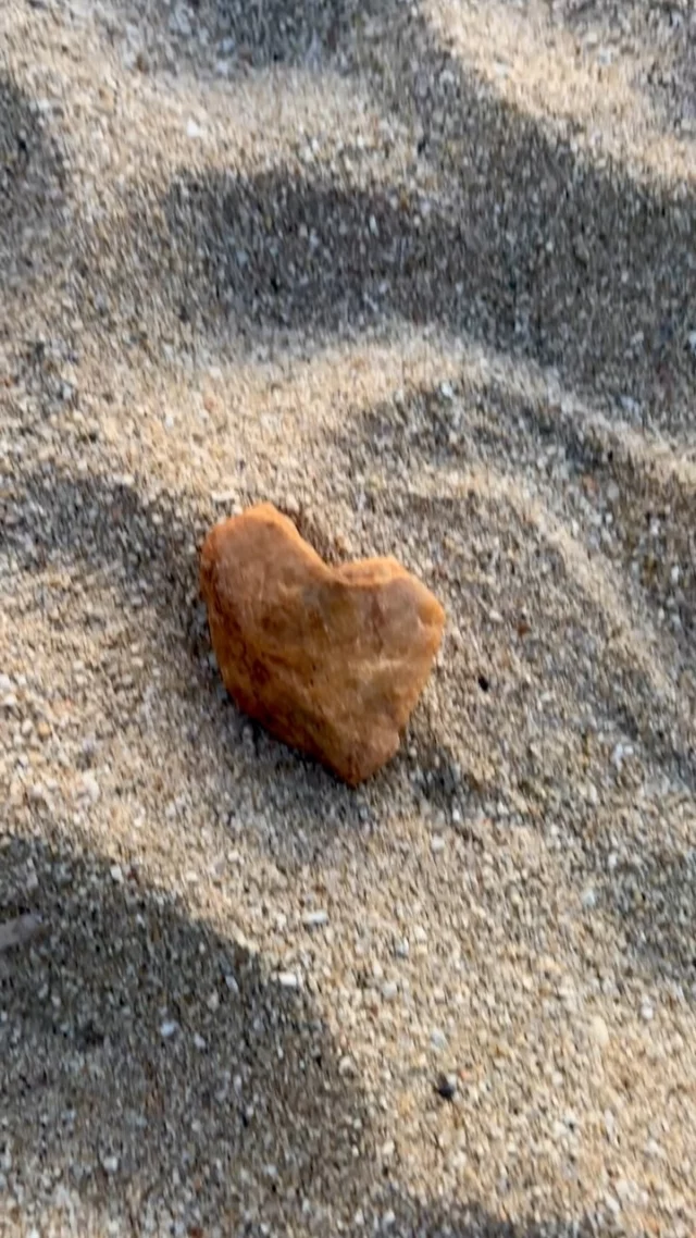 Friday Heartsday

Yesterday 
On our way home…

I’m so grateful

Look out for your heart too! 💙

#retreats #fridayheartsday #heartstones #heartsonmypath #iousía