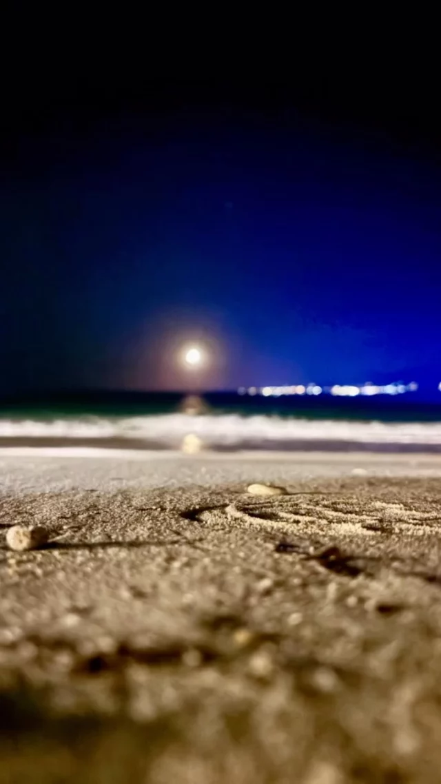 Not only days are special on this island
The nights are too 

#iousía #retreats #creativetherapy #individueleretreat #discoveryourself