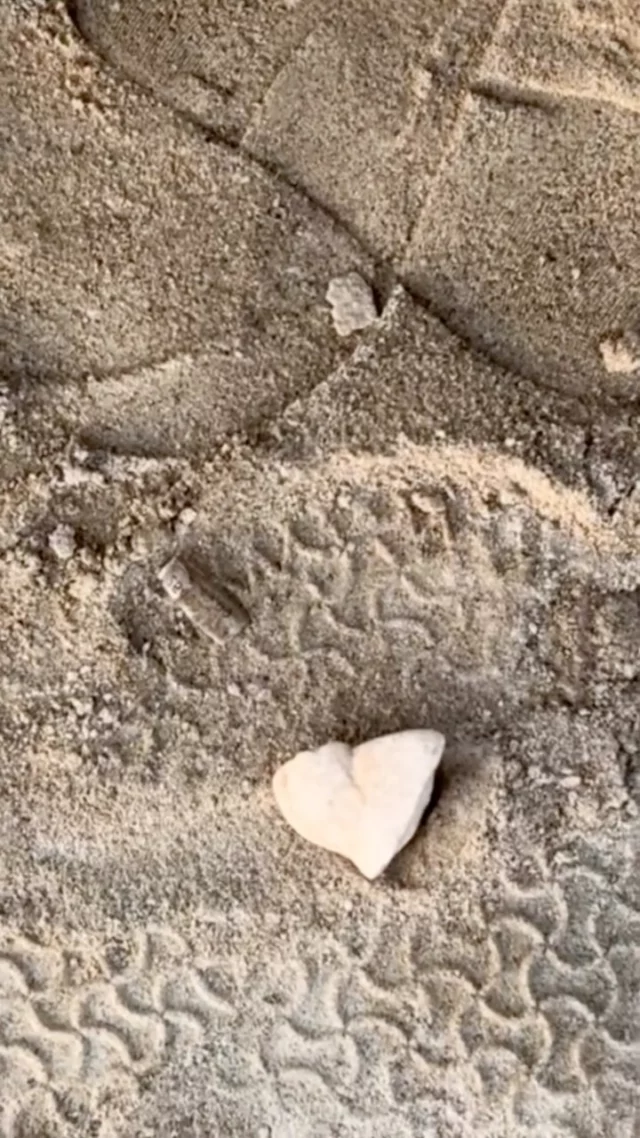 Friday Heartsday

A few weeks ago
With the witches and wonders 
We got back to the car
And there it was
Waiting for us

Touching 😍

Look out for your heart too! 💙

#retreats #fridayheartsday #heartstones #heartsonmypath #iousía