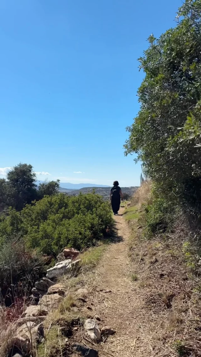 ‘It’s a beautiful Sunday 
Let’s make a little walk!’
‘Oh nice! Good idea!’

Six hours later…

‘Maybe…’
‘Don’t start!’

You get the feeling?! 😜

#iousía #retreats #walkingheals #exhaustedbuthappy #sundayvibe