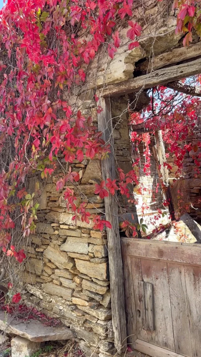 Naxos is more than blue and white
More than sand and water

Walking the island
Is enjoying all the colours

#iousía #retreats #persoonlijkeontwikkeling #coloursofnature🍁🍀 #gratitude🙏